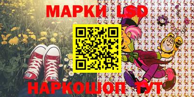 стаф Чебоксары