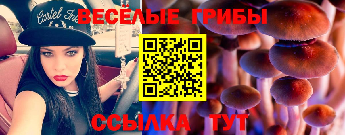 Галлюциногенные грибы GOLDEN TEACHER  Вход с VPN  Белорецк  Галлюциногенные грибы Psilocybine cubensis 