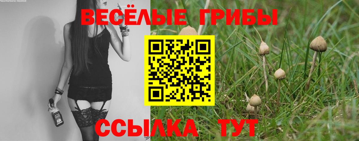 Галлюциногенные грибы мицелий Белорецк